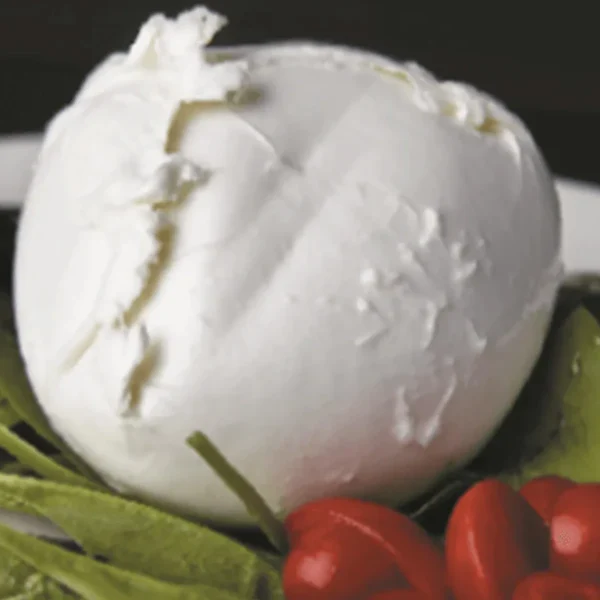 Buffalo Mozzarella Cheese