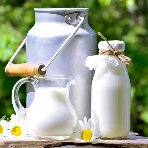 Fortified Buffalo Whole Milk