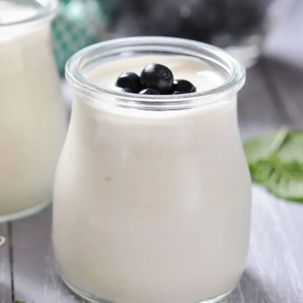 Lactose-Free Curd